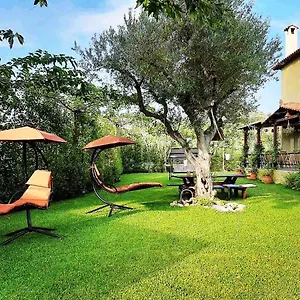https://vintage-home.hotelschalkidiki.net